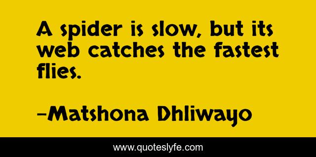 A spider is slow, but its web catches the fastest flies.