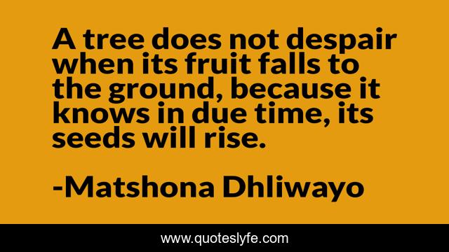 A tree does not despair when its fruit falls to the ground, because it knows in due time, its seeds will rise.