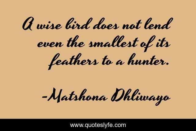 A wise bird does not lend even the smallest of its feathers to a hunter.