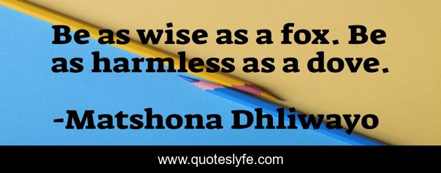 Be as wise as a fox. Be as harmless as a dove.