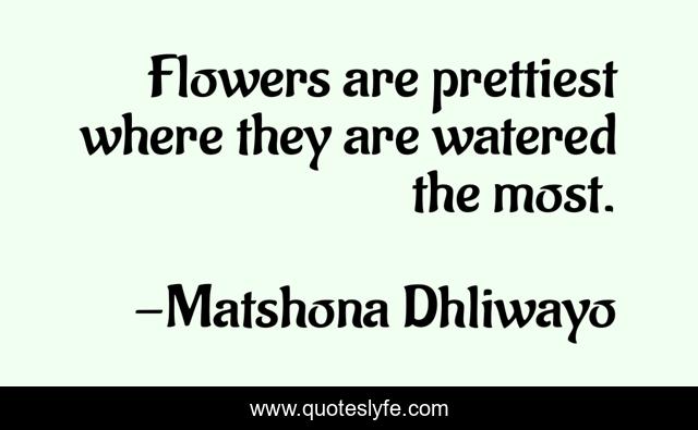 Flowers are prettiest where they are watered the most.