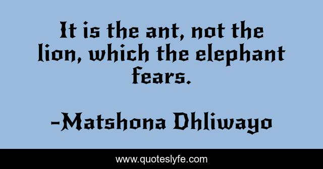 It is the ant, not the lion, which the elephant fears.