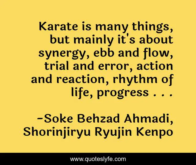 Karate is many things, but mainly it's about synergy, ebb and flow, trial and error, action and reaction, rhythm of life, progress . . .