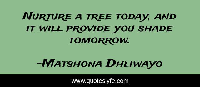 Nurture a tree today, and it will provide you shade tomorrow.