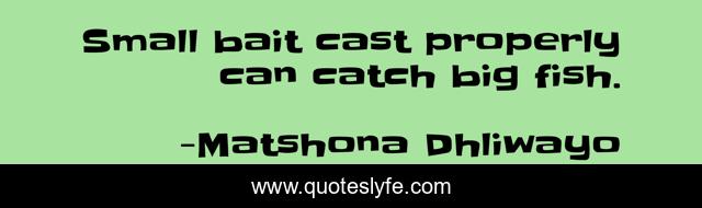 Small bait cast properly can catch big fish.
