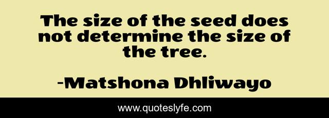 The size of the seed does not determine the size of the tree.