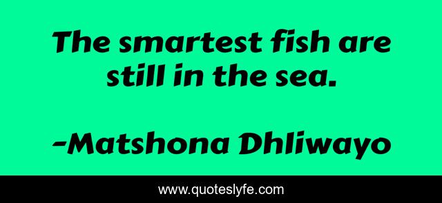 The smartest fish are still in the sea.