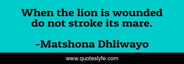 When the lion is wounded do not stroke its mare.