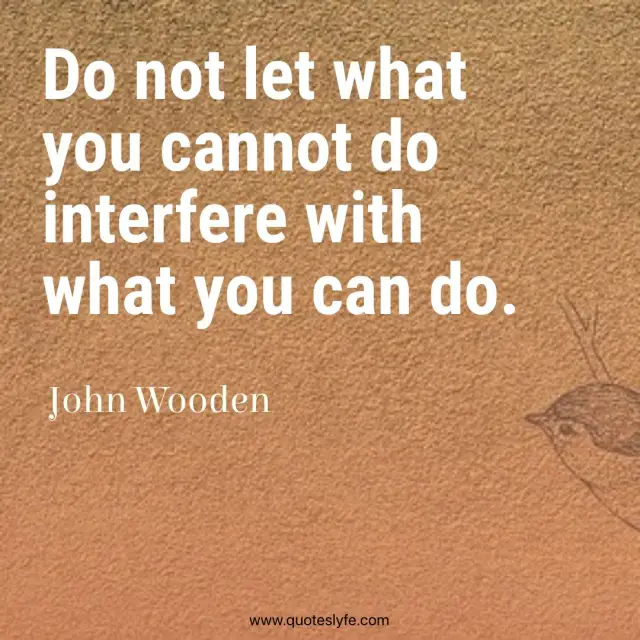 Do not let what you cannot do interfere with what you can do.