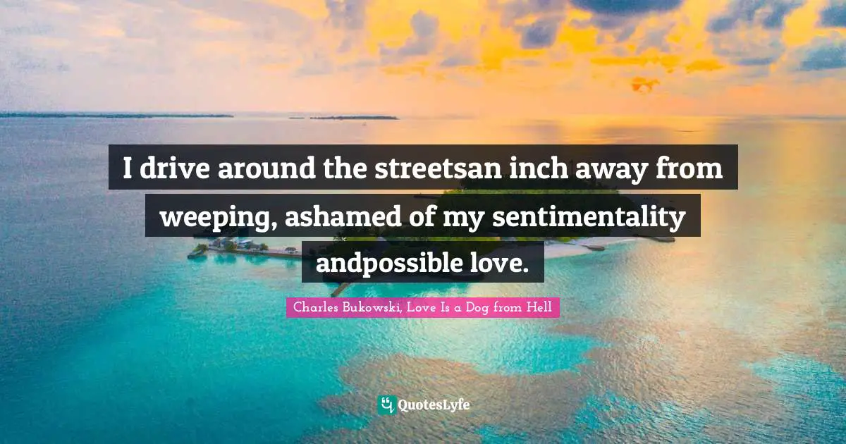 I drive around the streetsan inch away from weeping, ashamed of my sentimentality andpossible love.
