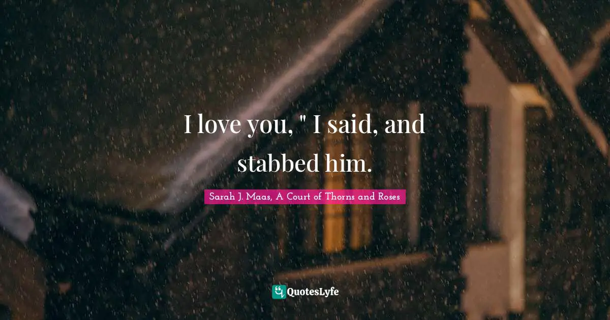 I love you, " I said, and stabbed him.