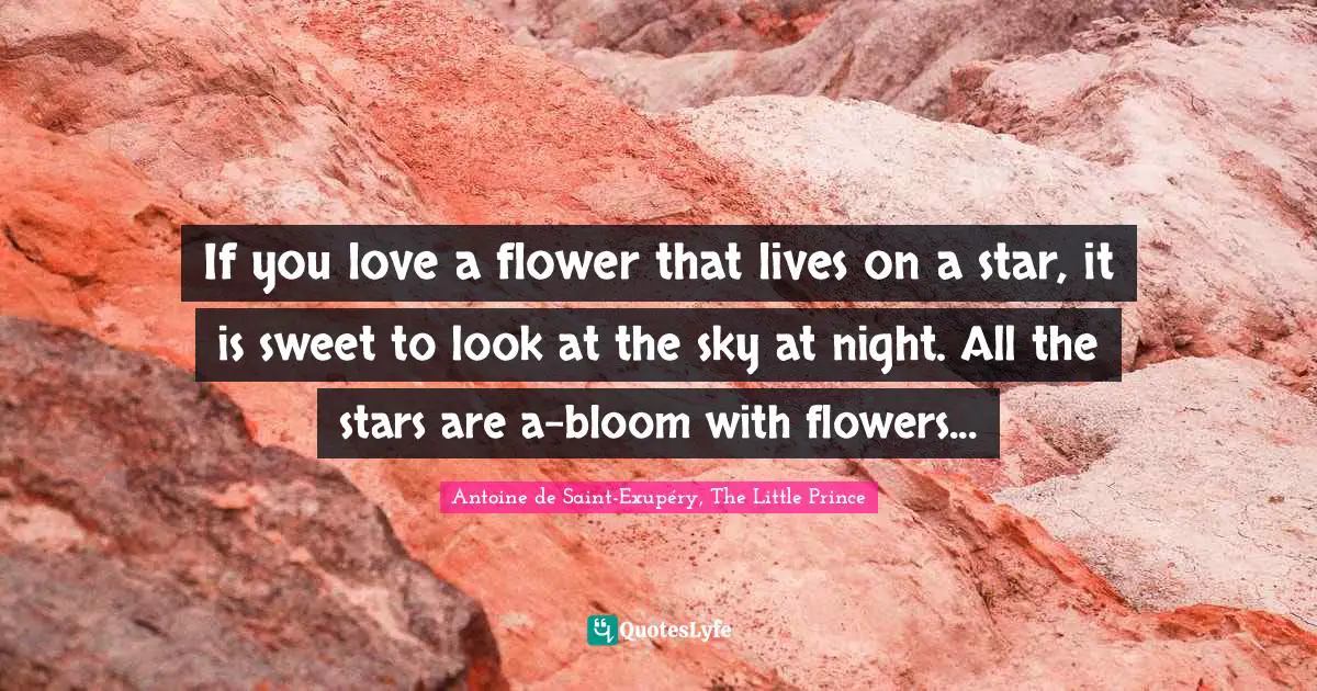 If you love a flower that lives on a star, it is sweet to look at the sky at night. All the stars are a-bloom with flowers...