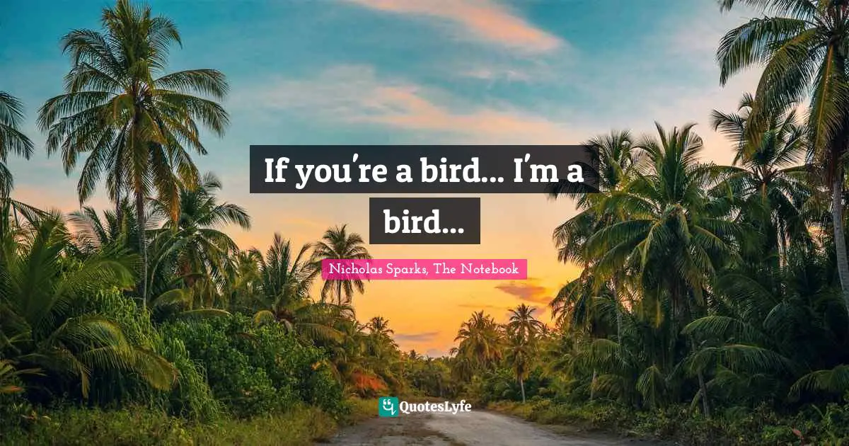 Nicholas Sparks, The Notebook Quotes: "If you're a bird... I'm a bird..."