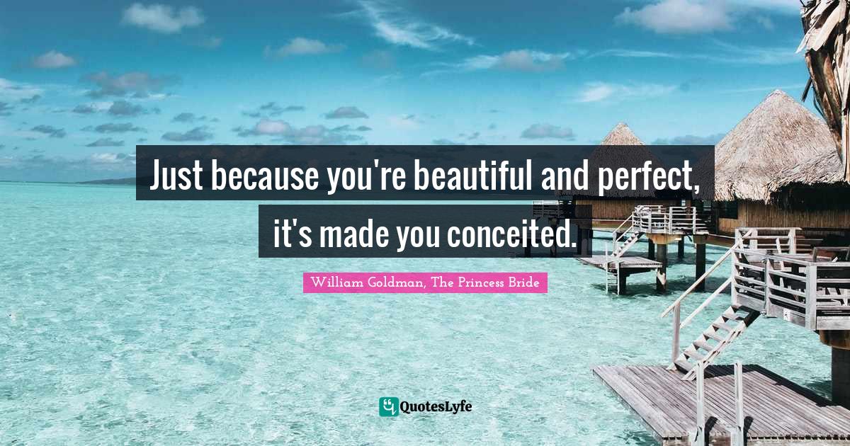 Just because you're beautiful and perfect, it's made you conceited