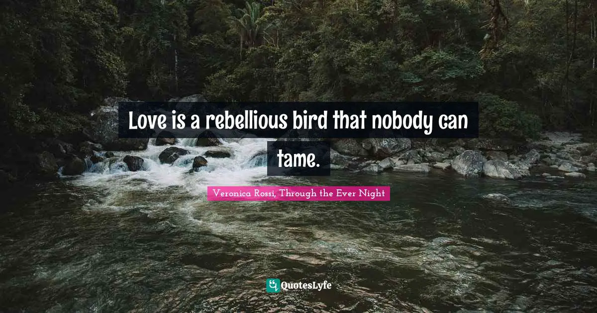 Love is a rebellious bird that nobody can tame.