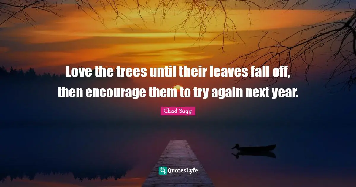 Encourage Quotes: "Love the trees until their leaves fall off, then encourage them to try again next year."