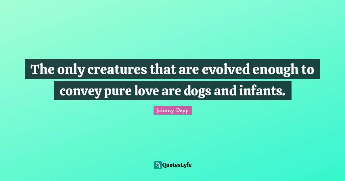 The only creatures that are evolved enough to convey pure love are dogs and infants.