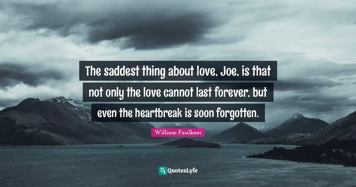The saddest thing about love, Joe, is that not only the love cannot last forever, but even the heartbreak is soon forgotten.