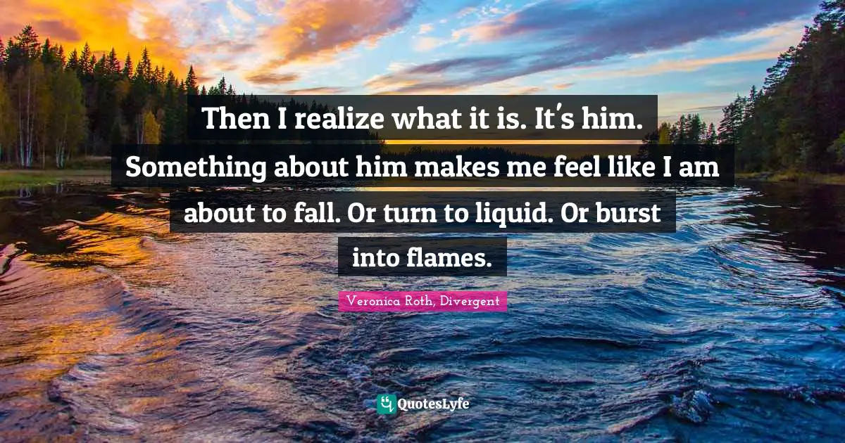 Then I realize what it is. It's him. Something about him makes me feel like I am about to fall. Or turn to liquid. Or burst into flames.