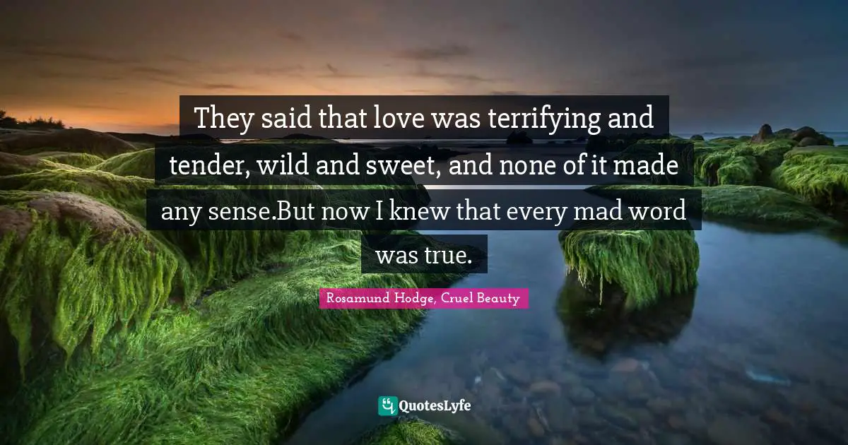 They said that love was terrifying and tender, wild and sweet, and none of it made any sense.But now I knew that every mad word was true.