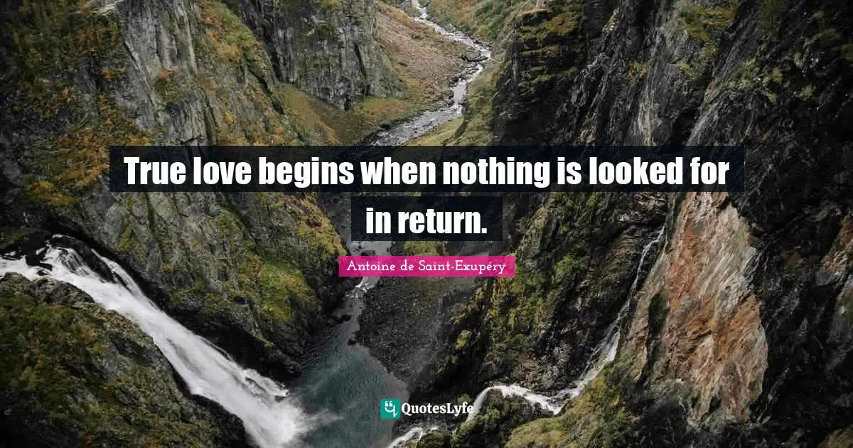 True love begins when nothing is looked for in return.
