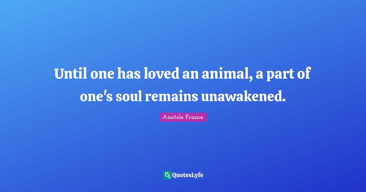 Until one has loved an animal, a part of one's soul remains unawakened.