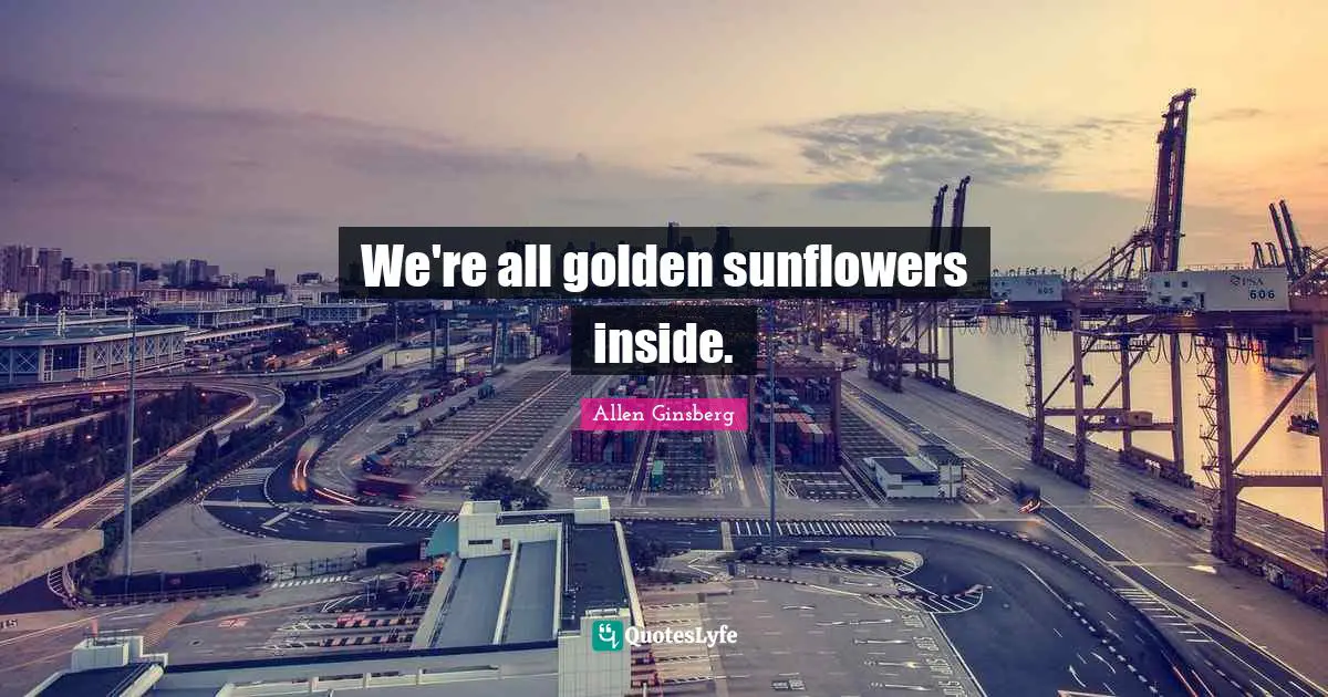 Affection Quotes: "We're all golden sunflowers inside."