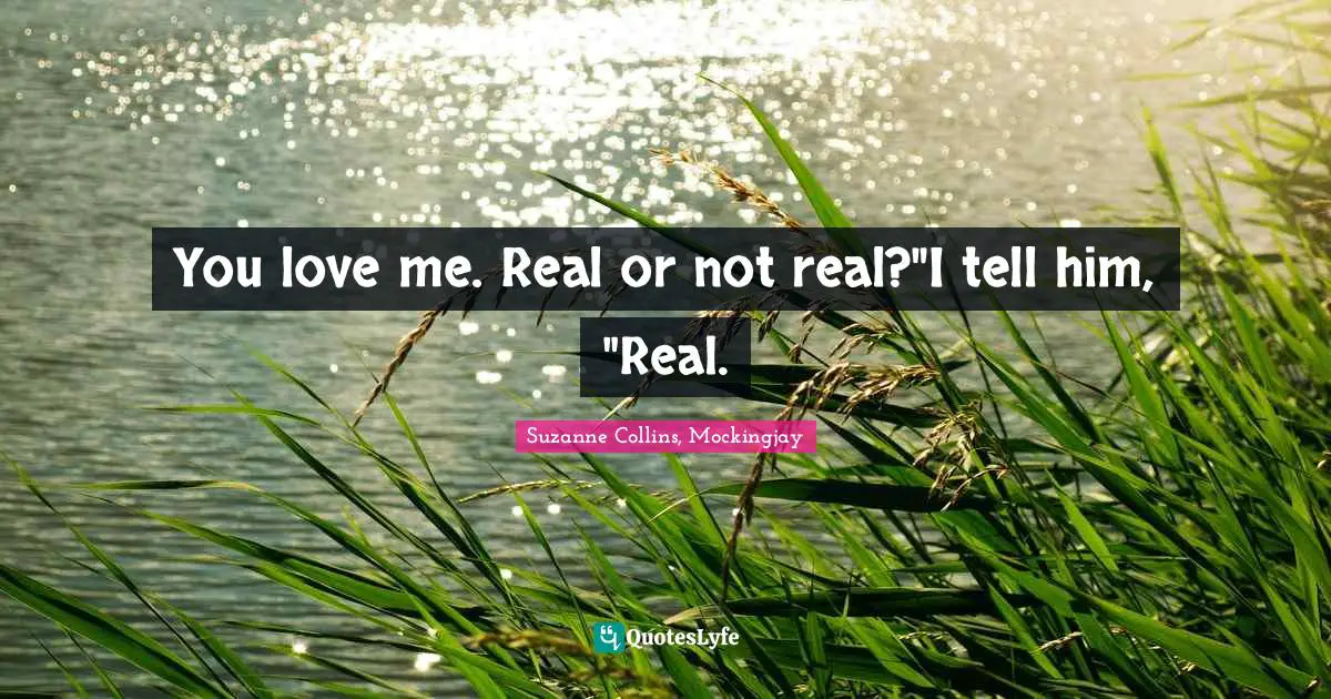 Mr Collins Quotes: "You love me. Real or not real?"I tell him, "Real."
