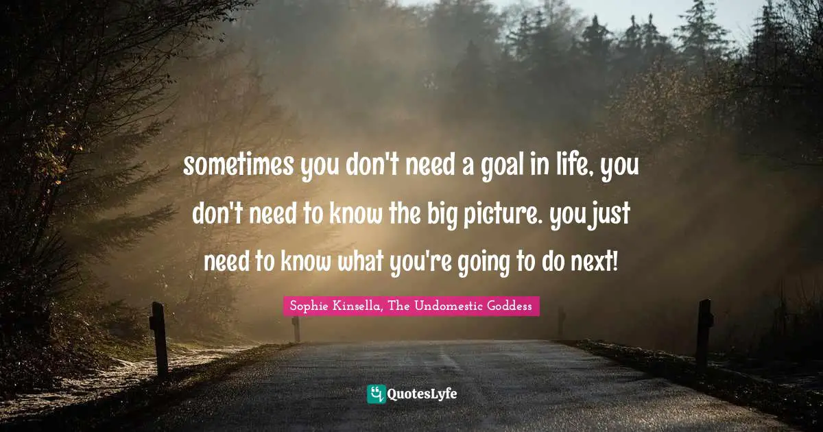 sometimes you don't need a goal in life, you don't need to know the big picture. you just need to know what you're going to do next!