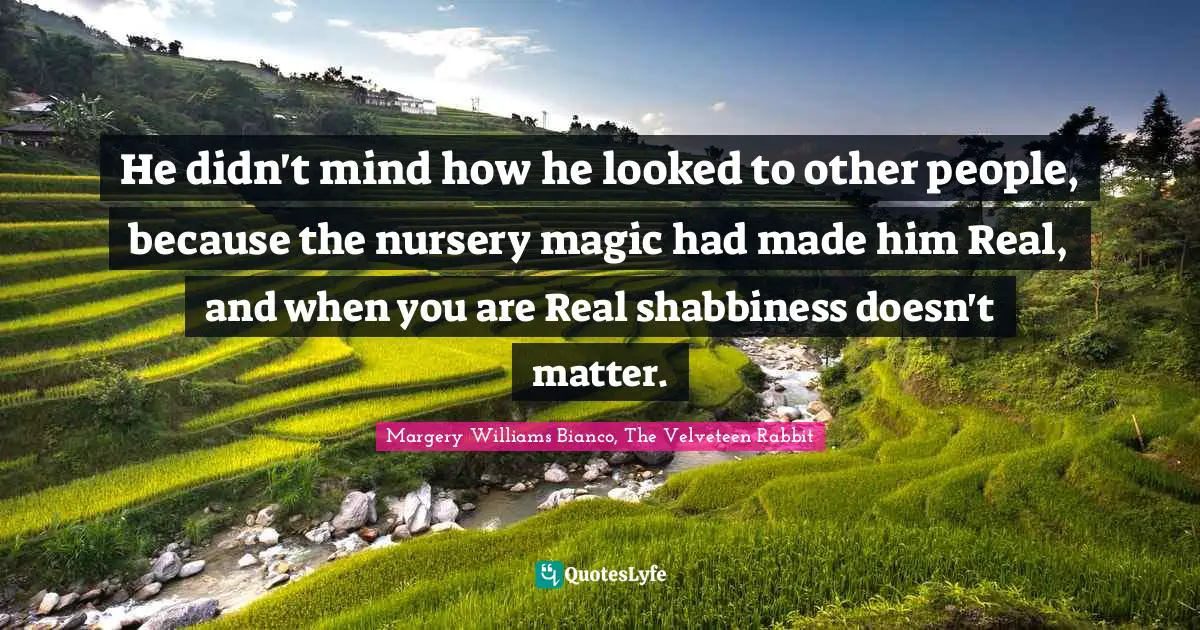 He didn't mind how he looked to other people, because the nursery magic had made him Real, and when you are Real shabbiness doesn't matter.