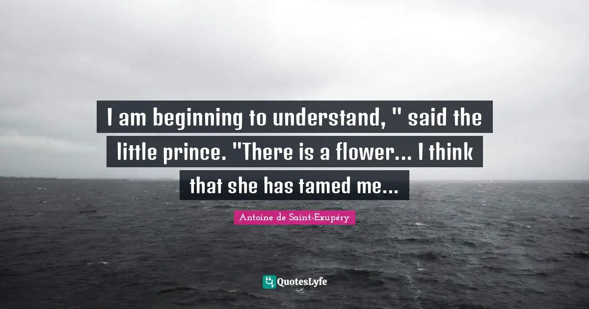 I am beginning to understand, " said the little prince. "There is a flower... I think that she has tamed me...