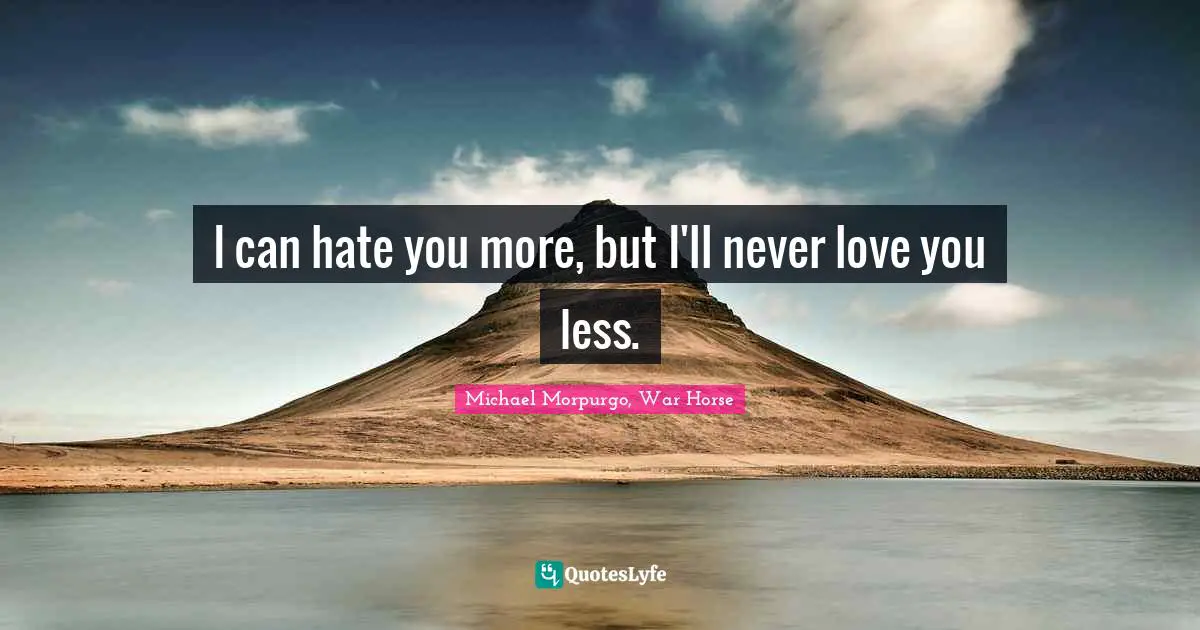 I can hate you more, but I'll never love you less.