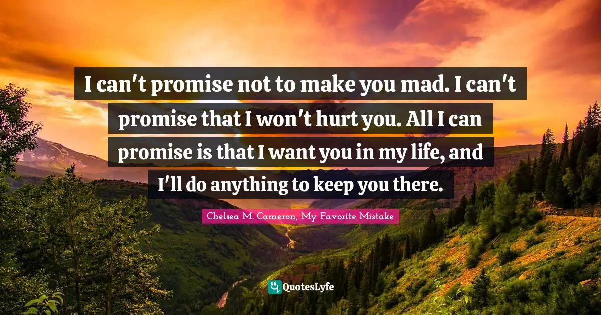 I can't promise not to make you mad. I can't promise that I won't hurt you. All I can promise is that I want you in my life, and I'll do anything to keep you there.