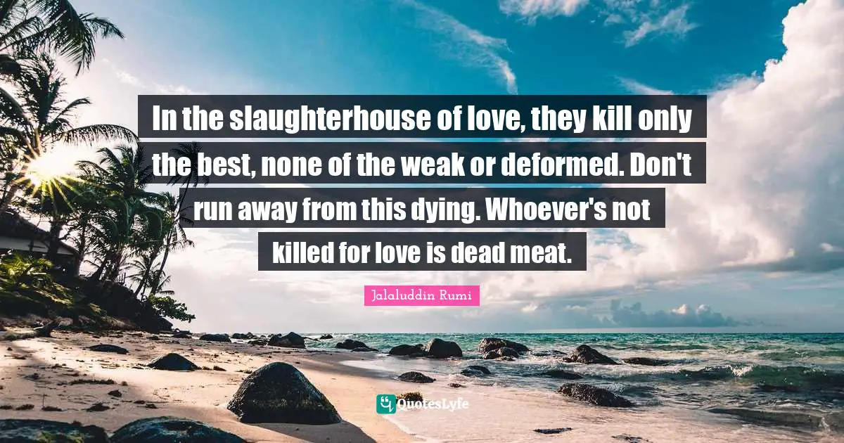 In the slaughterhouse of love, they kill only the best, none of the weak or deformed. Don't run away from this dying. Whoever's not killed for love is dead meat.