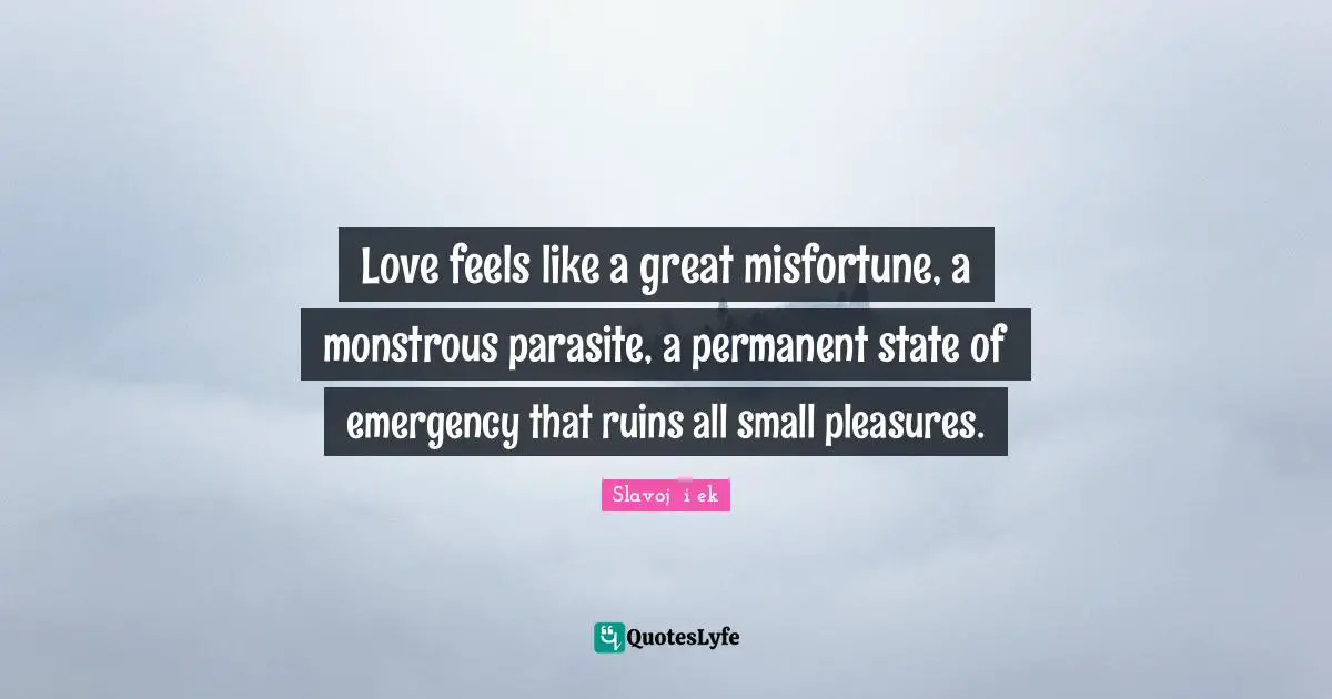 Love feels like a great misfortune, a monstrous parasite, a permanent state of emergency that ruins all small pleasures.