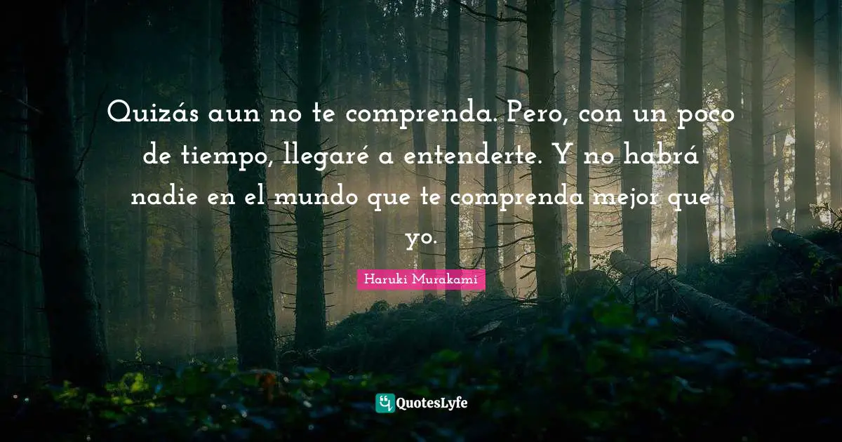 Quizás aun no te comprenda. Pero, con un poco de tiempo, llegaré a entenderte. Y no habrá nadie en el mundo que te comprenda mejor que yo.