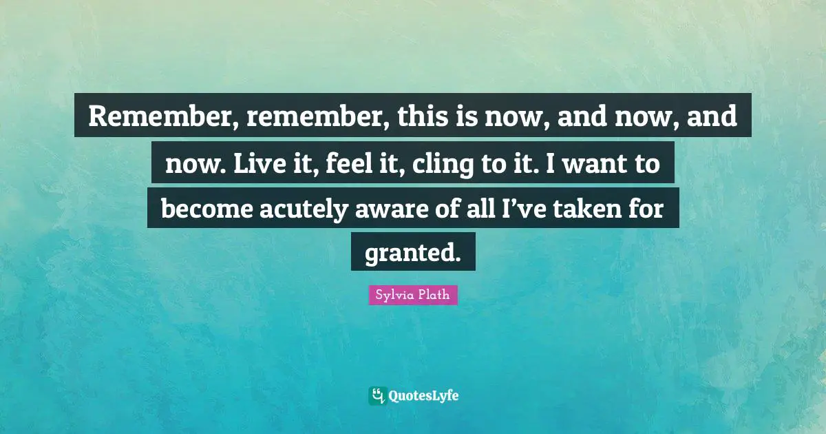 Remember, remember, this is now, and now, and now. Live it, feel it, cling to it. I want to become acutely aware of all I’ve taken for granted.