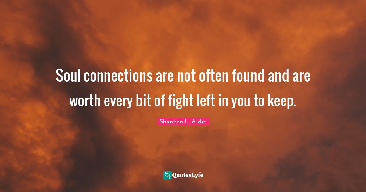 Spiritual Soul Connection Quotes Soul Connections Are Not Often Found And Are Worth Every Bit Of Fight ...  Quote By Shannon L. Alder - Quoteslyfe
