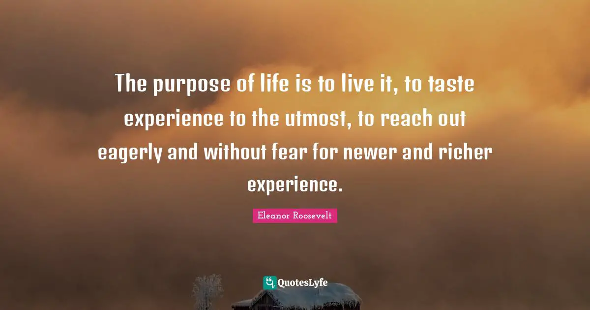 Eleanor Roosevelt Quotes: The purpose of life is to live it, to taste experience to the utmost, to reach out eagerly and without fear for newer and richer experience.