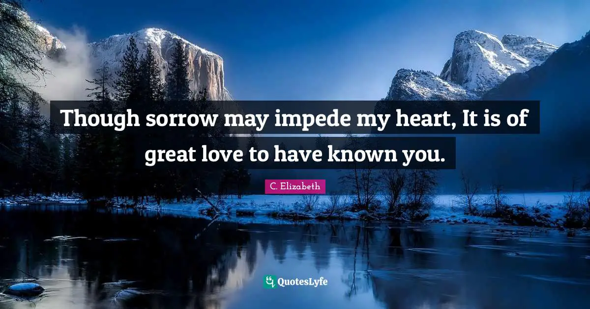 Though sorrow may impede my heart, It is of great love to have known you.