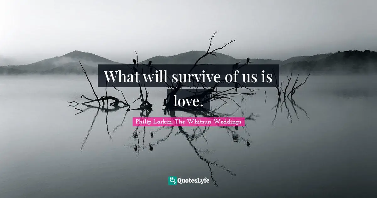 What will survive of us is love.