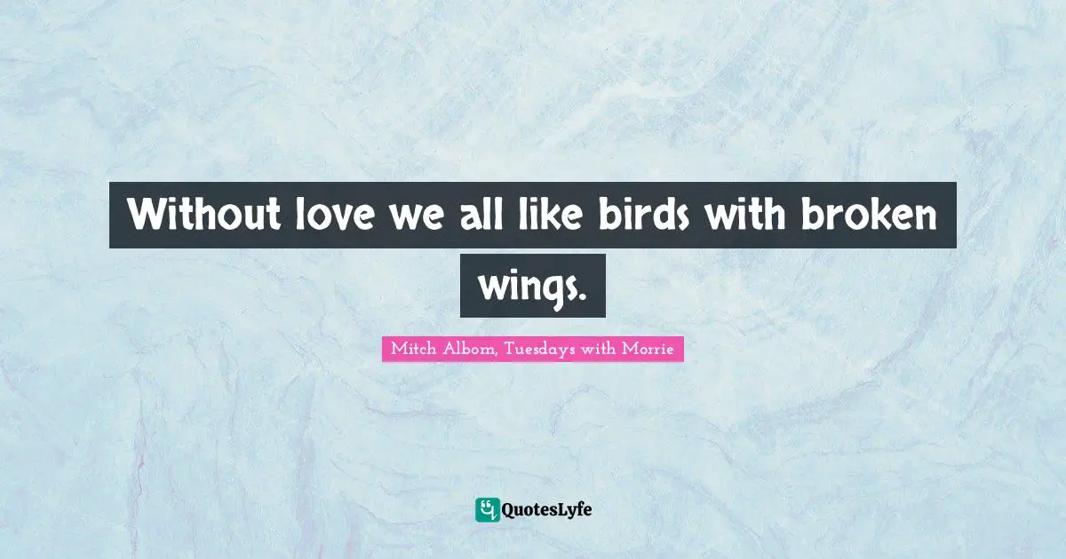 Without love we all like birds with broken wings.