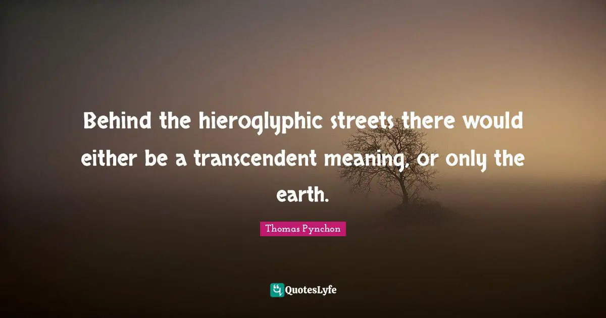 Emptiness Quotes: "Behind the hieroglyphic streets there would either be a transcendent meaning, or only the earth."