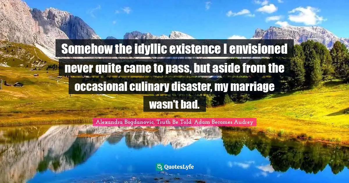 Somehow the idyllic existence I envisioned never quite came to pass, but aside from the occasional culinary disaster, my marriage wasn't bad.