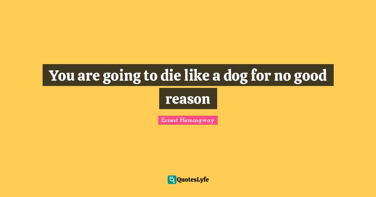 You are going to die like a dog for no good reason