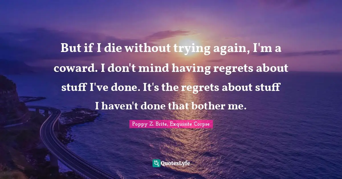 But if I die without trying again, I'm a coward. I don't mind having regrets about stuff I've done. It's the regrets about stuff I haven't done that bother me.