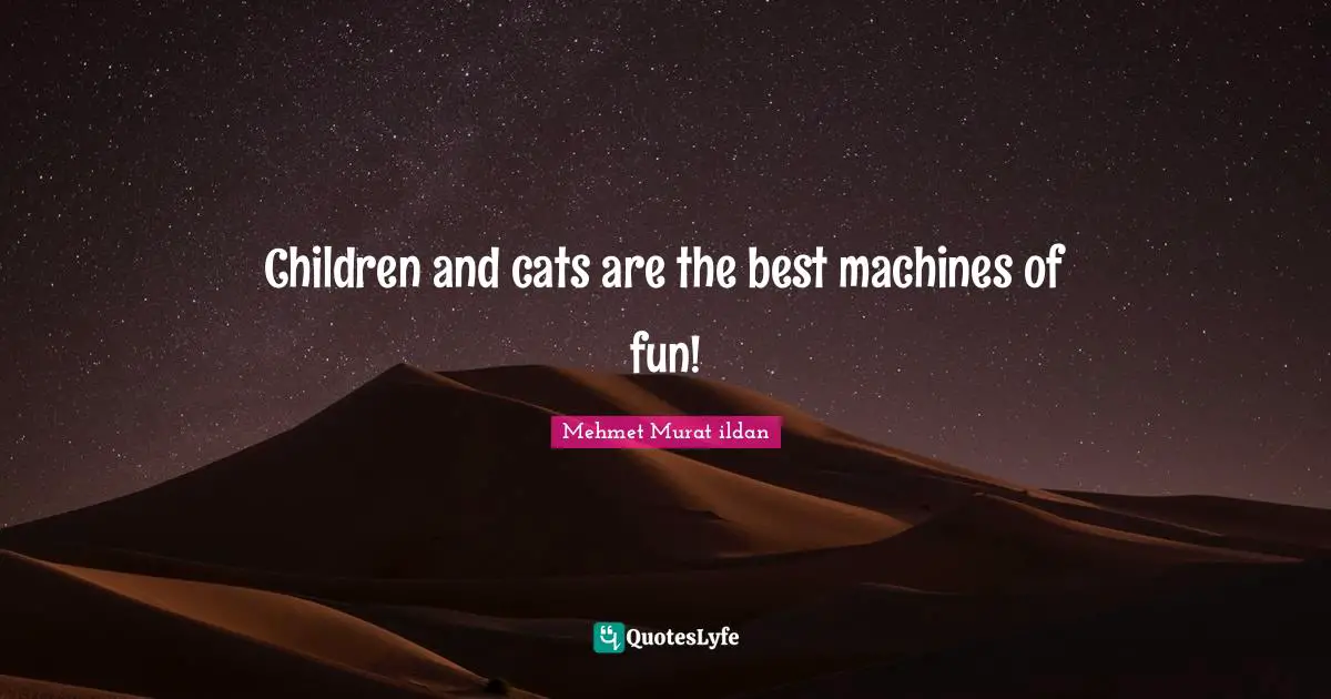 Children and cats are the best machines of fun!