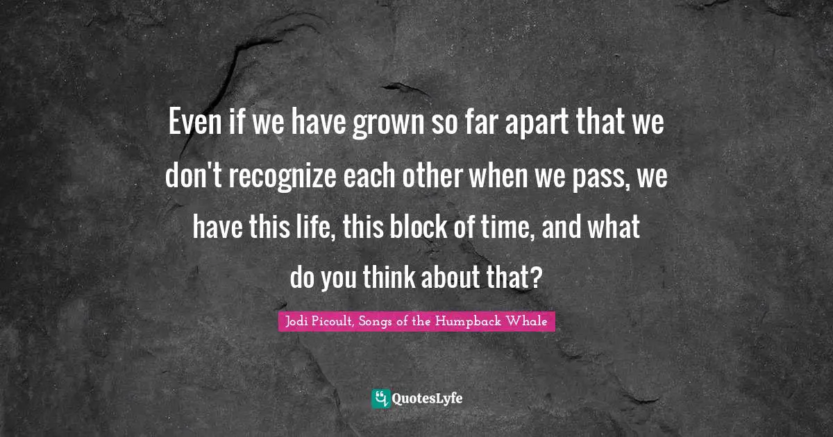 Even if we have grown so far apart that we don't recognize each other when we pass, we have this life, this block of time, and what do you think about that?