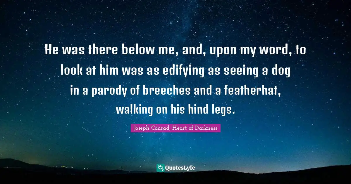He was there below me, and, upon my word, to look at him was as edifying as seeing a dog in a parody of breeches and a featherhat, walking on his hind legs.