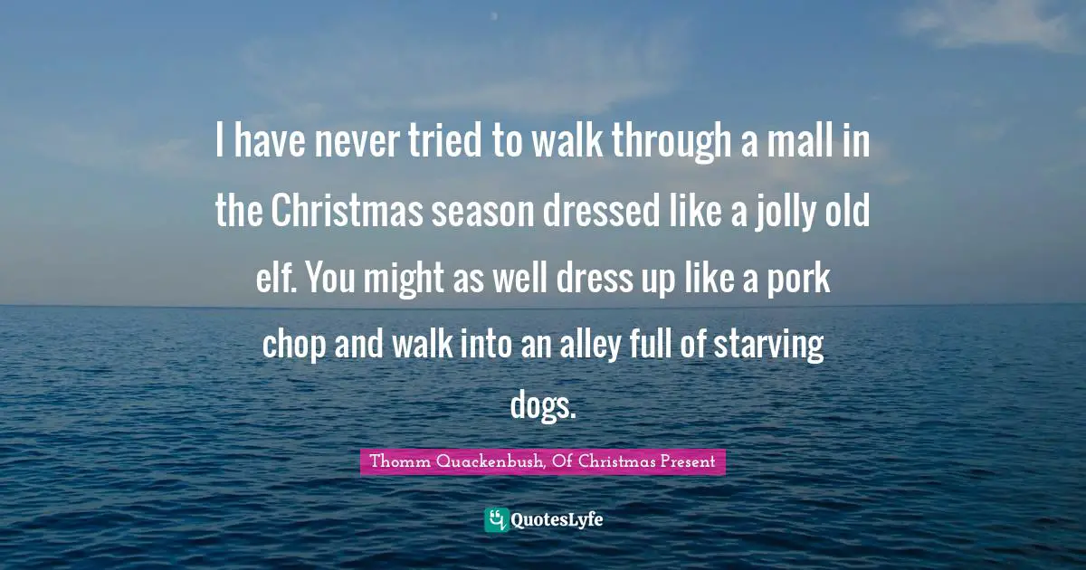I have never tried to walk through a mall in the Christmas season dressed like a jolly old elf. You might as well dress up like a pork chop and walk into an alley full of starving dogs.